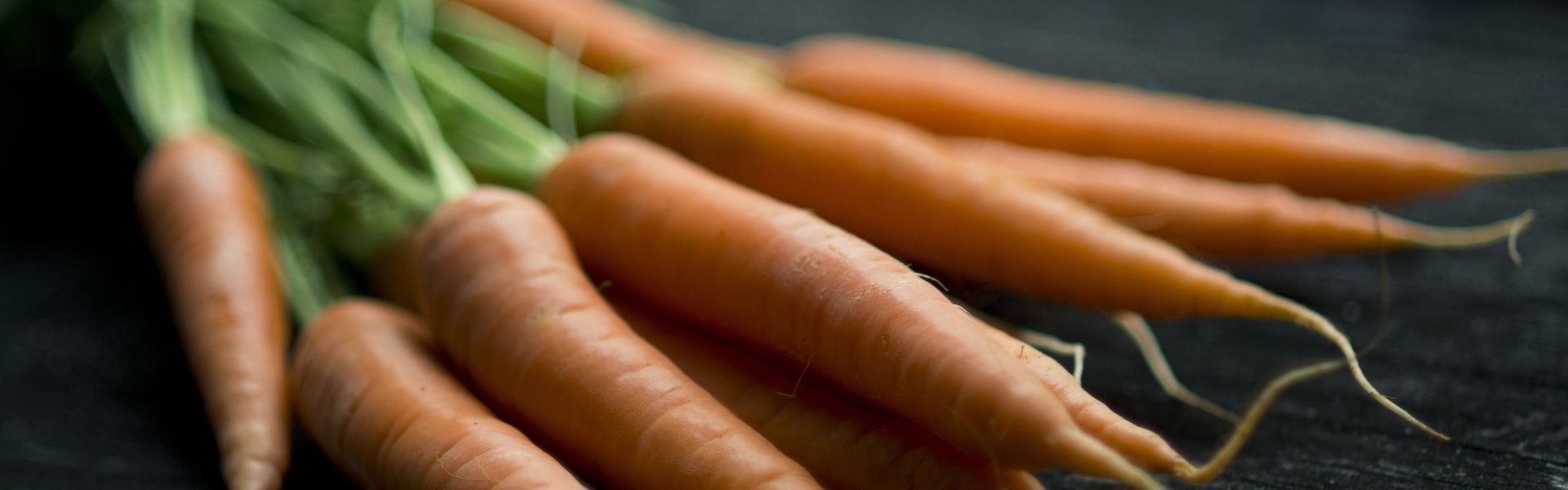 Page cover Basenfasten