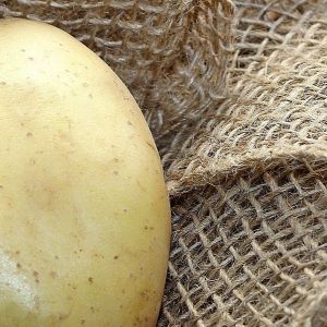 Titelbild Basenfastenkur mit Kochkunde