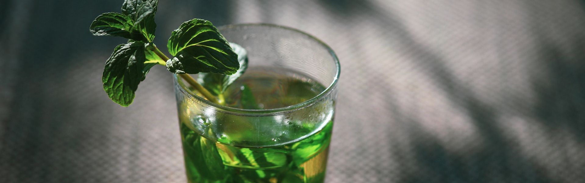 Page cover Heilfastenkurs