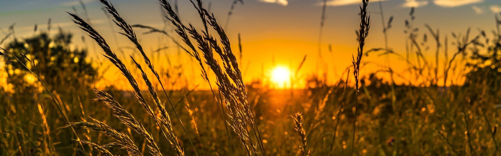 Page cover HPU-KPU Therapie