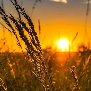 Titelbild HPU-KPU Therapie